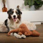 Hondenknuffel met Knoopkoord Bruin – D&D Home Quasi - Afbeelding 4