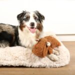 Hondenspeelgoed van Bruine Teddystof met Piepers – D&D Home Emmy - Afbeelding 3