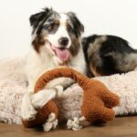 Bruin Hondenspeeltje van Teddystof met Touw – D&D Home George - Afbeelding 3