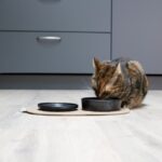 Platte Keramische Kattenvoerbak met Zwarte Stippen – D&D Home Jasper - Afbeelding 2