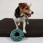 Katoenen Knoopring van 100% Katoen Blauw – D&D Home Ben - Afbeelding 2
