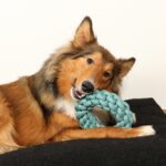 Katoenen Knoopring van 100% Katoen Blauw – D&D Home Ben - Afbeelding 5