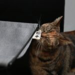 Kattenhangmat voor Radiator en Boxspring – D&D Home Oliver - Afbeelding 6
