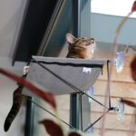 Kattenraamhangmat met Zuignappen – D&D Home Olivia - Afbeelding 4
