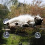 Kattenraamhangmat met Zuignappen – D&D Home Olivia - Afbeelding 5