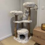 Kattenkrabpaal met Jutepalen en Ligmanden – EBI Marseille - Afbeelding 5