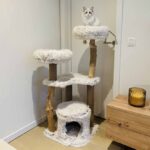 Kattenkrabpaal met Jutepalen en Ligmanden – EBI Marseille - Afbeelding 2