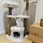 Kattenkrabpaal met Jutepalen en Ligmanden – EBI Marseille - Afbeelding 4