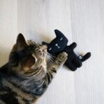 Kattenkussen met Navulbaar Kattenkruidvak – D&D Home Zeno - Afbeelding 4