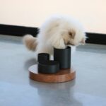 Kattenvoerplateau met Drie Keramische Voerbakken – D&D Home IGGY - Afbeelding 6