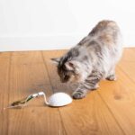 Elektronische Kattenmuis met Willekeurige Bewegingen – EBI Cat Toy Mouse on the Move - Afbeelding 5