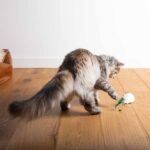 Elektronische Kattenmuis met Willekeurige Bewegingen – EBI Cat Toy Mouse on the Move - Afbeelding 6
