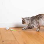 Interactief Kattenspeeltje met 3 Snelheden en Knipperlichten – EBI Racing Roller - Afbeelding 5