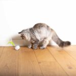 Interactief Kattenspeeltje met 3 Snelheden en Knipperlichten – EBI Racing Roller - Afbeelding 6