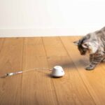 Interactief Kattenspeelgoed met LED-verlichting en Staart – EBI Twisting Tank - Afbeelding 6