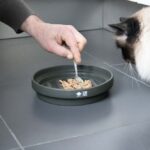 Katten Slowvoerbak van Keramiek met Doolhof – D&D Home SUE Maze Groen - Afbeelding 4