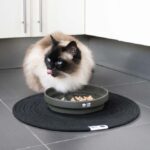 Katten Slowvoerbak van Keramiek met Doolhof – D&D Home SUE Maze Groen - Afbeelding 5