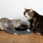 Ronde Voerbakonderlegger van Absorberend Katoen Groen – D&D Home JILL - Afbeelding 4