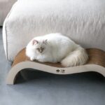 Kattenkrabmeubel van Golfkarton, Tweedelig – D&D Home Archie - Afbeelding 6