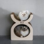 Kartonnen Krabspeelplaats met MDF-zijkanten in Bruin en Beige – D&D Home Faye - Afbeelding 5