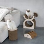 Kartonnen Krabspeelplaats met MDF-zijkanten in Bruin en Beige – D&D Home Faye - Afbeelding 4