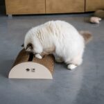 Kartonnen Krabspeelplaats met MDF-zijkanten in Bruin en Beige – D&D Home Faye - Afbeelding 6