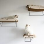 Kattenwandplank van Golfkarton Bruin Beige S – D&D Home David - Afbeelding 4