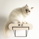 Kattenwandplank van Golfkarton Bruin Beige S – D&D Home David - Afbeelding 3