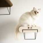 Kattenwandplank van Golfkarton Bruin Beige S – D&D Home David - Afbeelding 5