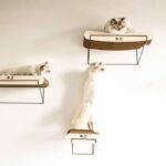 Gebogen Kattenwandplank van Golfkarton met Metalen Beugel – D&D Home David - Afbeelding 3