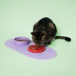 Kattenvoer- en Waterbak met Onderzetter rood-paars – EBI Coockoo Funky Feeding - Afbeelding 5