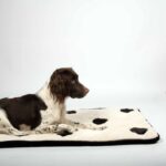 Hondenplaid Pluche Zwart-Wit 120 x 60 cm – EBI Coockoo Domino Dream - Afbeelding 3
