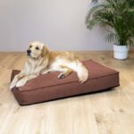 Hondenmatras Waterafstotend – D&D Home Eden - Afbeelding 6