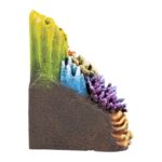 Aquarium – EBI Aqua Della - Afbeelding 7