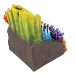 Aquarium – EBI Aqua Della - Afbeelding 3