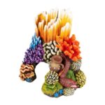 Aquarium – EBI Aqua Della