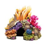 Rechte Aquarium Koralgrot met Koraaldecoratie – EBI Aqua Della - Afbeelding 8