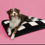 Hondenkussen – EBI Coockoo Cozy Block - Afbeelding 2