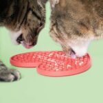 Rode Hartvormige Likmat met Zuignappen voor Honden en Katten – DUVO Cupid's Cravings - Afbeelding 5