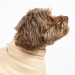 Hondenbadjas van Katoen Beige XS – EBI Noir Japandi - Afbeelding 5