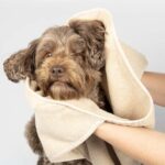Hondenhanddoek van Absorberend Katoen Beige – EBI Noir Japandi - Afbeelding 3