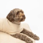 Beige Hondenbadmat van Katoen met Antislip Onderzijde – EBI Noir Japandi - Afbeelding 4