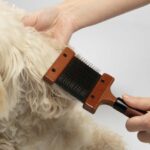 Dubbelzijdige Honden- en Katten Slickerborstel met Flexibele Kop – EBI Noir Japandi - Afbeelding 3