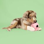 Roze Honden Speelbal van Pluche met Geluid en Beweging – EBI Coockoo Bouncy Buddy - Afbeelding 4