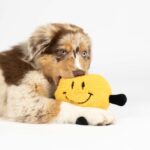 Pluche Hondenbal met Geluid en Beweging, Geel – EBI Coockoo Bouncy Buddy - Afbeelding 2