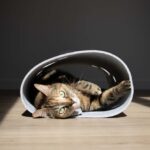 Lichtgrijze Kattenspeeltunnel van Synthetisch Vilt met Kijkgaten – D&D Home Lana - Afbeelding 3