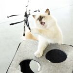 Telescoop Kattenhengel met Linten – D&D Home Claire - Afbeelding 3