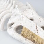 Aquariumdecoratie Walvisskelet met Schuilplaats Beige 30 x 17 x 8 cm – EBI Aqua Della - Afbeelding 4