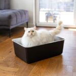 RVS Kattenbak – QUAPAS 9118813-WOK-VAR - Afbeelding 3