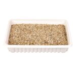 Trixie Kattengraszaden voor Katten 100 g - Afbeelding 2